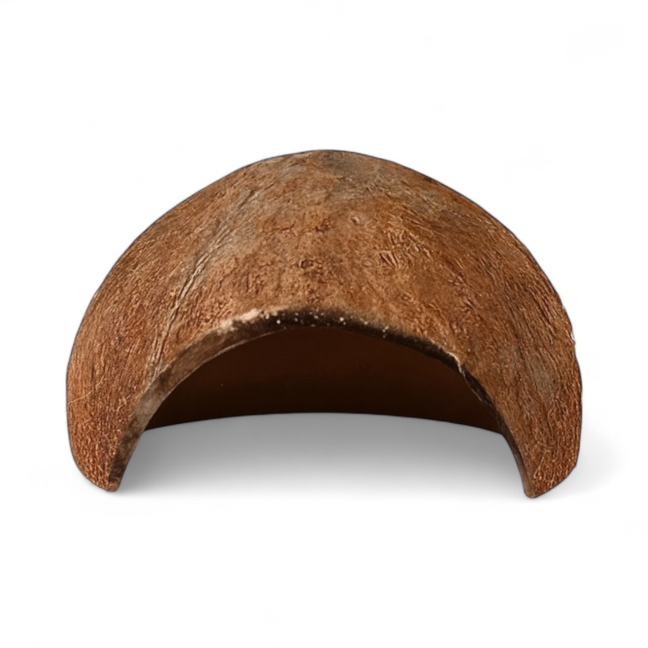 Half-cut coconut shell on a white background