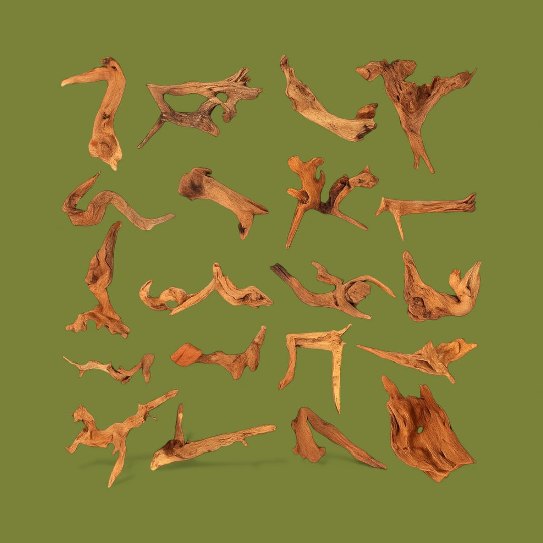 Assorted pieces of natural coral driftwood measuring 4–7 inches, arranged on a forest green matte background, showing unique shapes, textures, and warm brown tones.