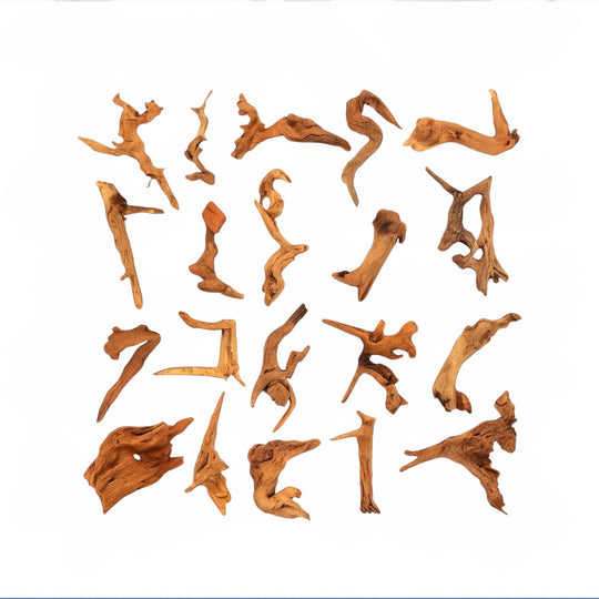 Assorted pieces of natural coral driftwood measuring 4 to 7 inches, showcasing unique twisted shapes and rich brown textures on a clean white background.