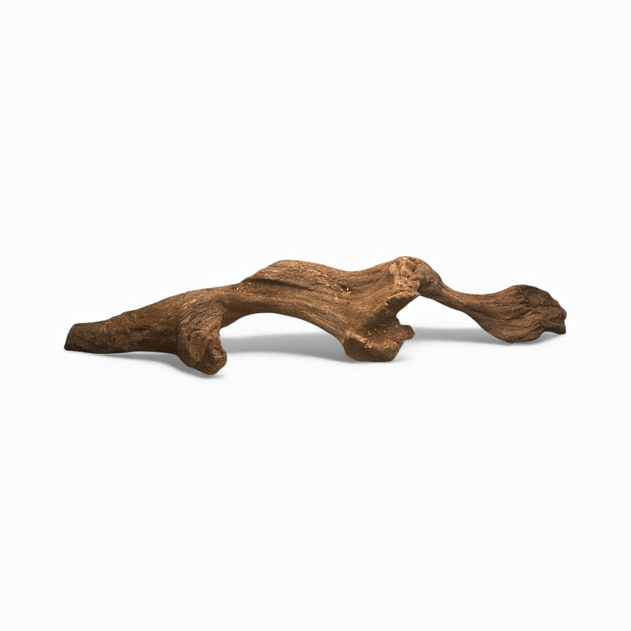 Mopani Driftwood 6- 7 inches- Aquarium Wood Decor for Fish, Shrimp, Reptiles, and Air Plants