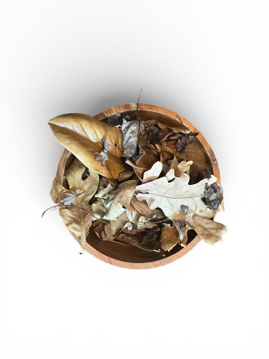 Top view of Bioactive Essentials hardwood leaf litter blend in wooden bowl
