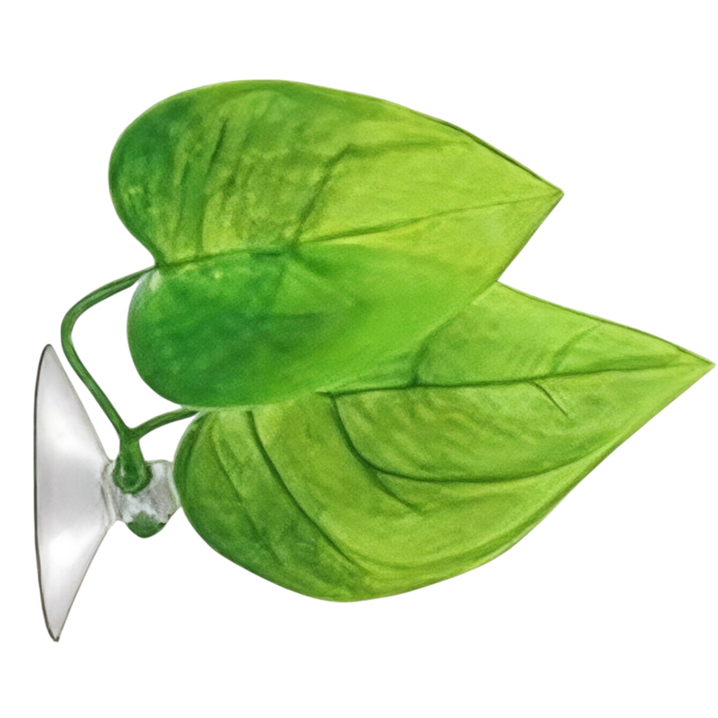 Artificial betta leaf hammock with suction cup for aquarium resting