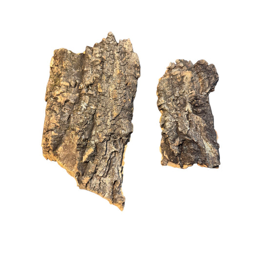 Cork Bark Slabs – Bioactive Material for Terrariums & Vivariums