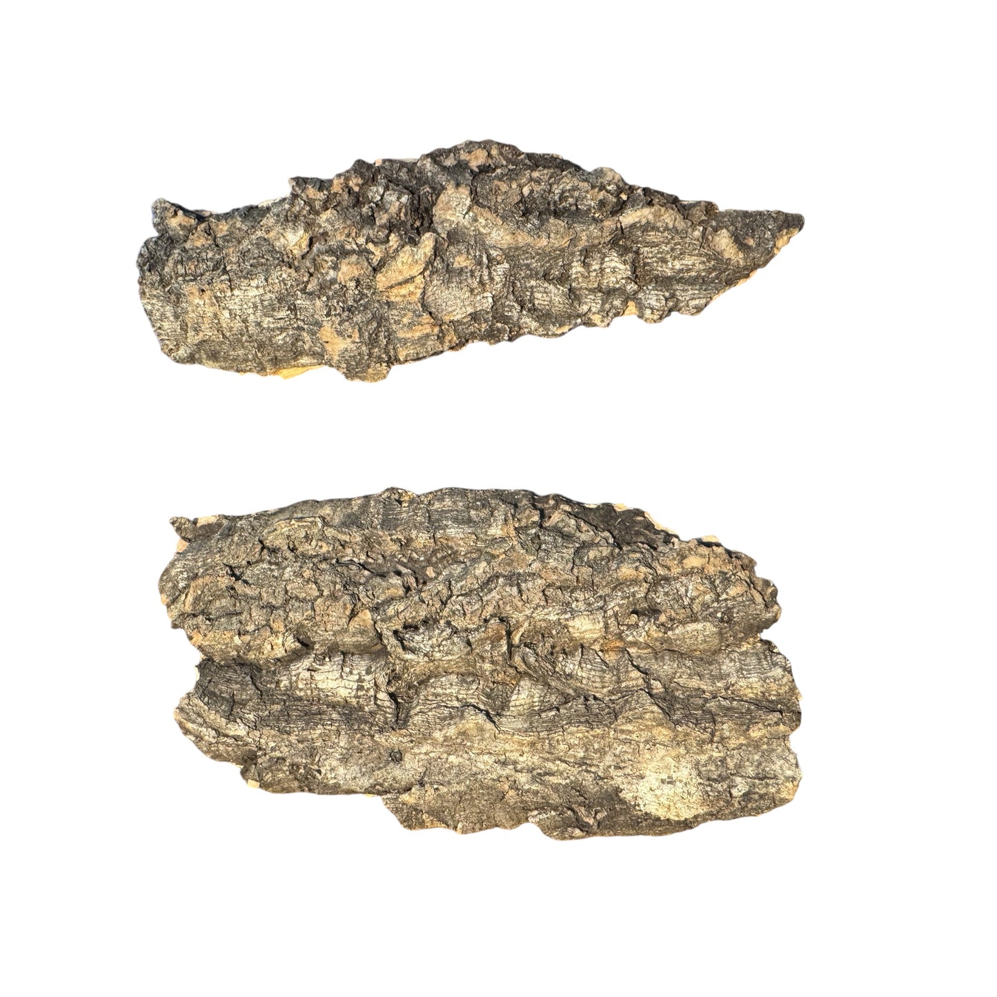 Cork Bark Slabs – Bioactive Material for Terrariums & Vivariums