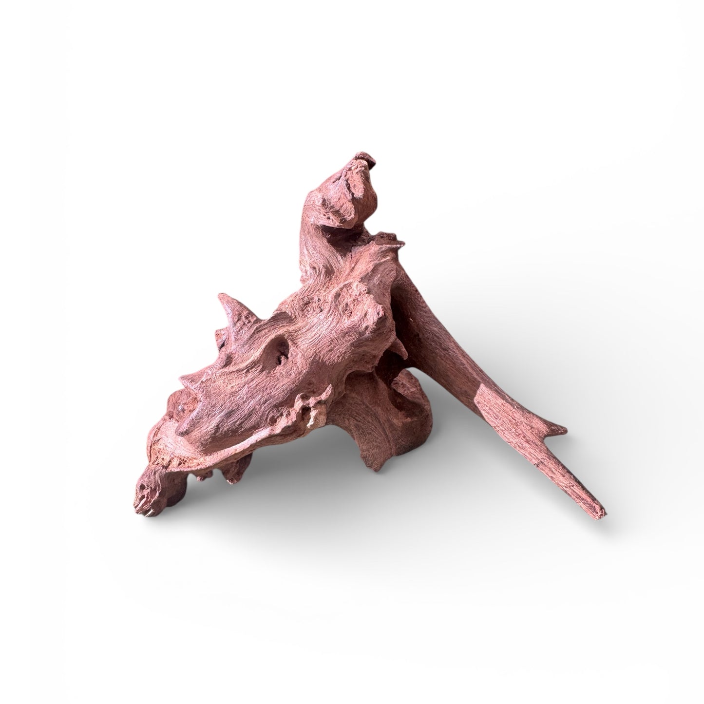 Mopani Driftwood | Natural Aquarium Wood for Aquascaping, Shrimp & Reptile Tanks