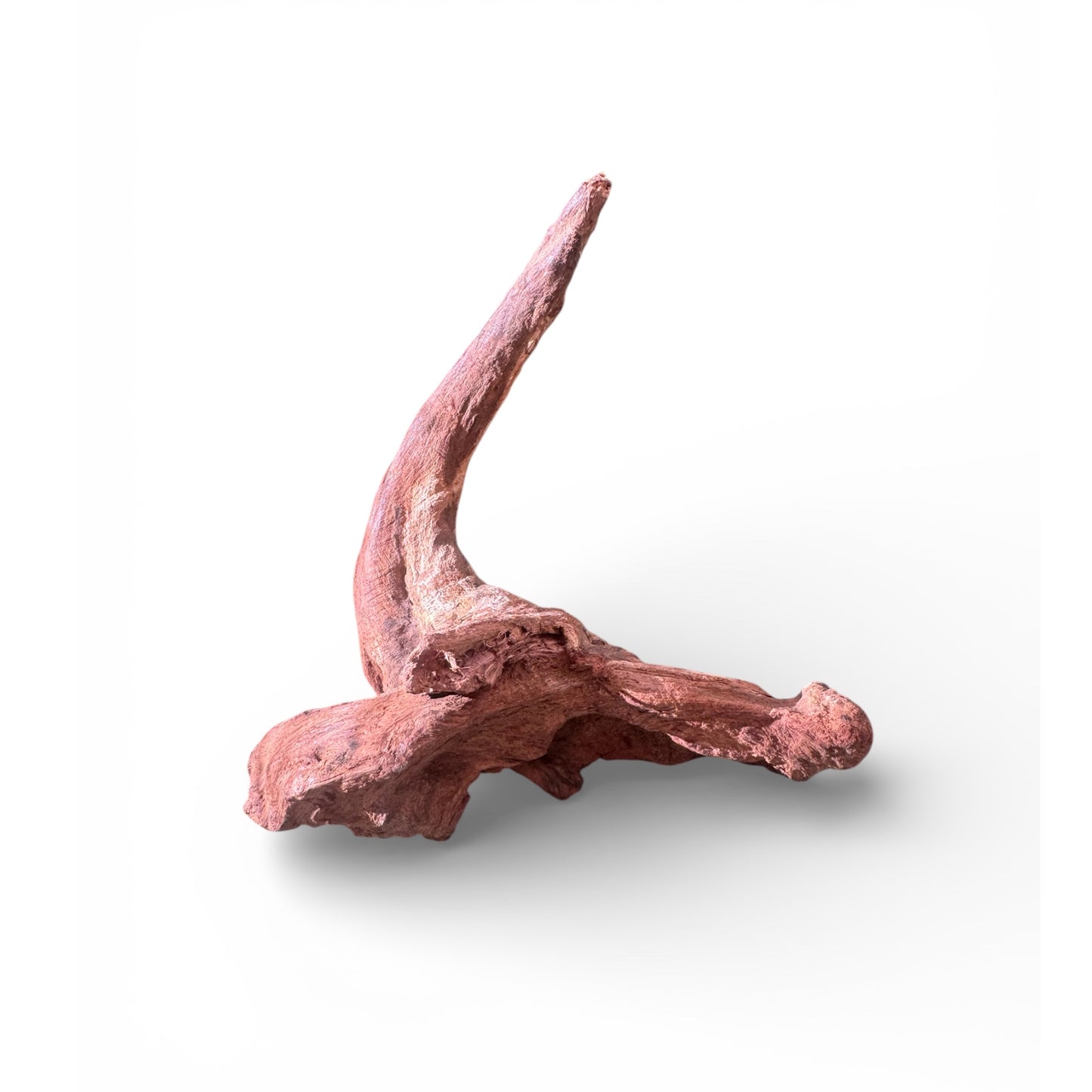 Mopani Driftwood | Natural Aquarium Wood for Aquascaping, Shrimp & Reptile Tanks