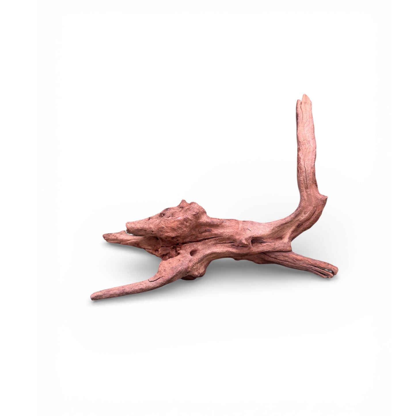 Mopani Driftwood | Natural Aquarium Wood for Aquascaping, Shrimp & Reptile Tanks