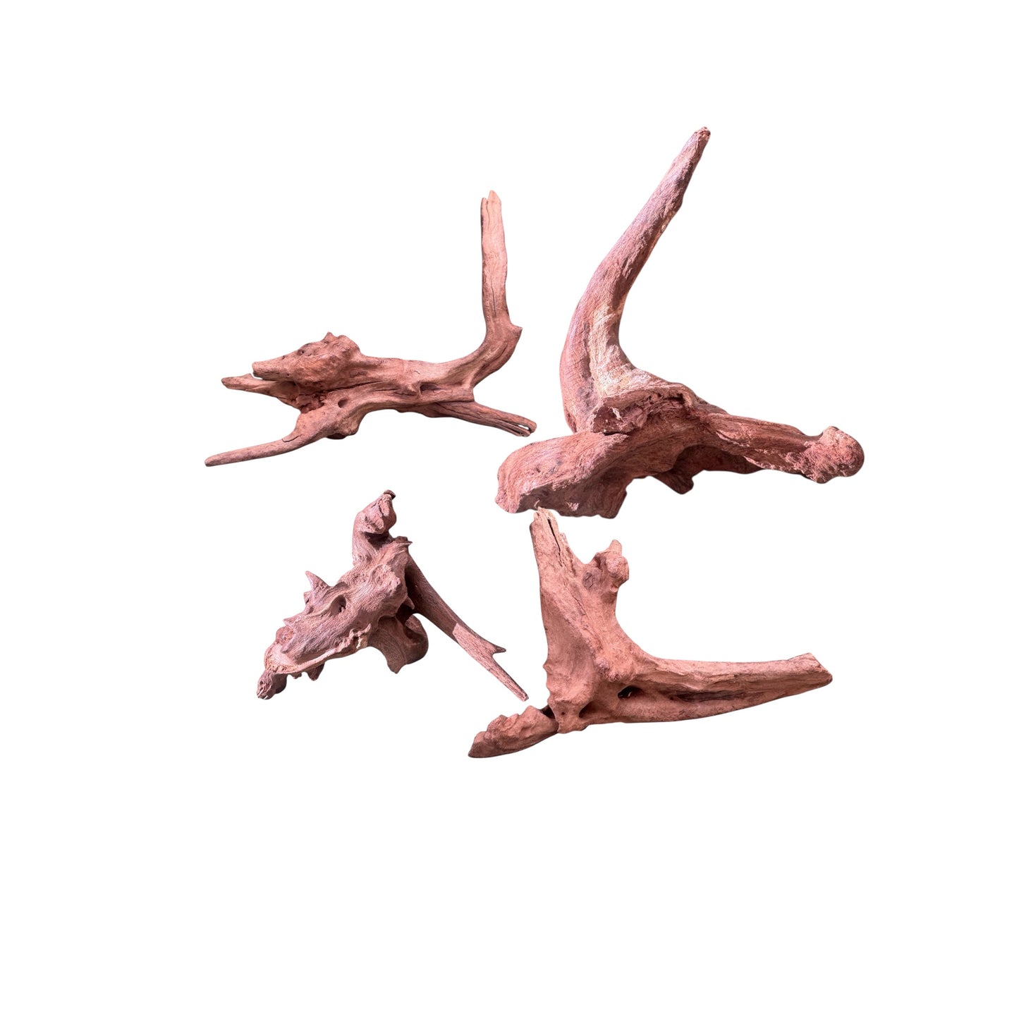 Mopani Driftwood | Natural Aquarium Wood for Aquascaping, Shrimp & Reptile Tanks