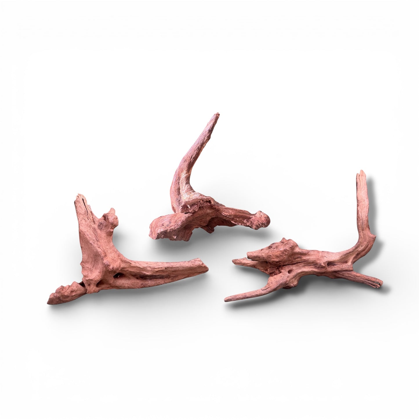 Mopani Driftwood | Natural Aquarium Wood for Aquascaping, Shrimp & Reptile Tanks