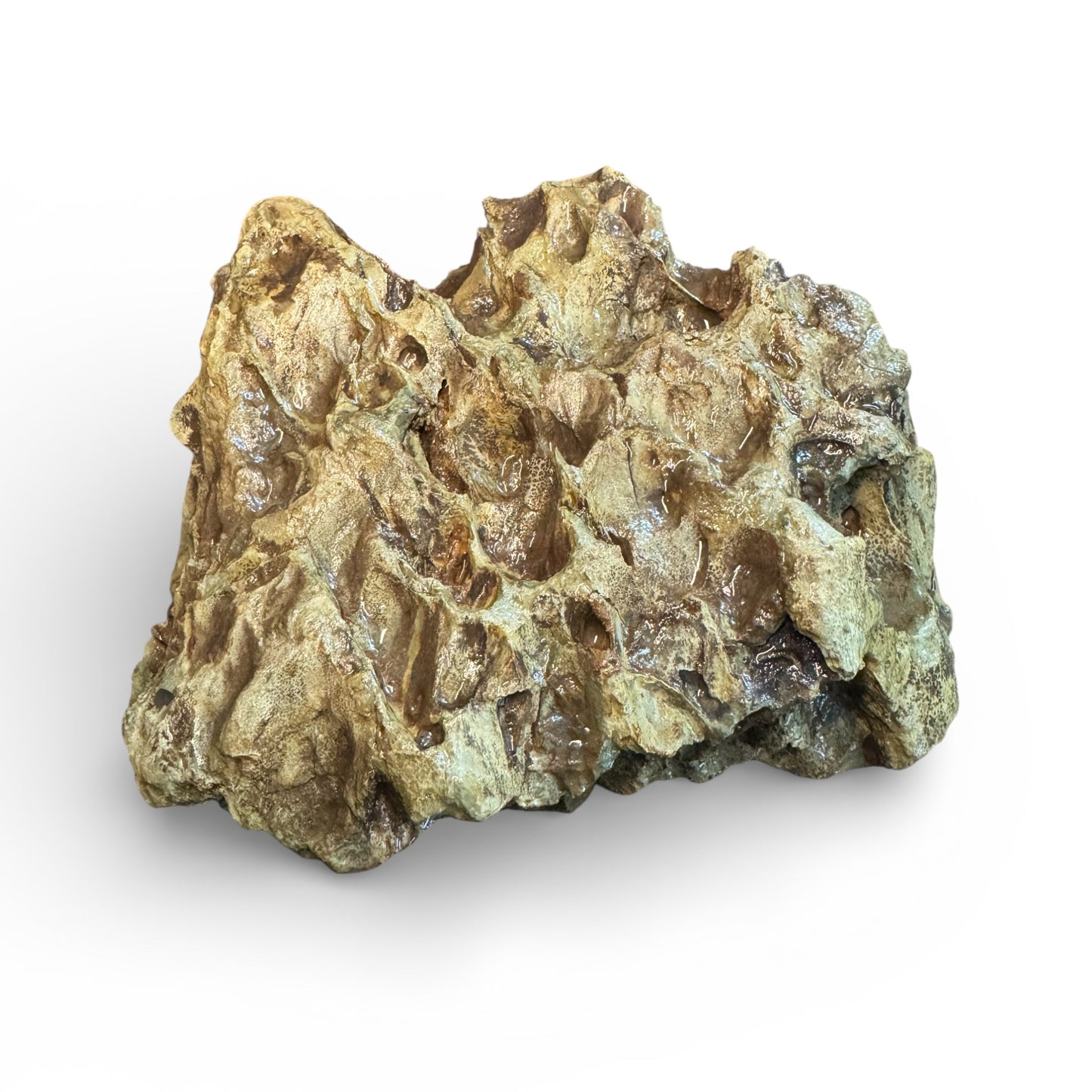 Dragon Stone – Natural Aquarium Aquascaping Rock