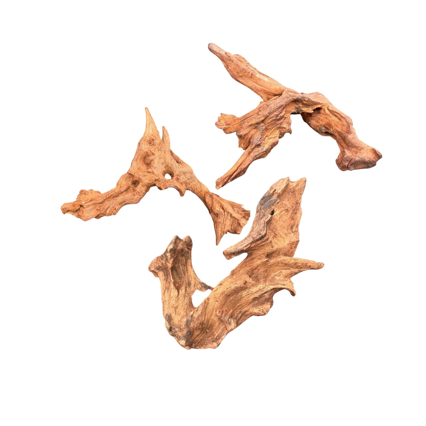 Mopani Wood Driftwood Pack (3 or 5 Pieces) – Aquarium Wood for Aquascaping, Fish Tank Decor, Betta & Shrimp Tank Hardscape
