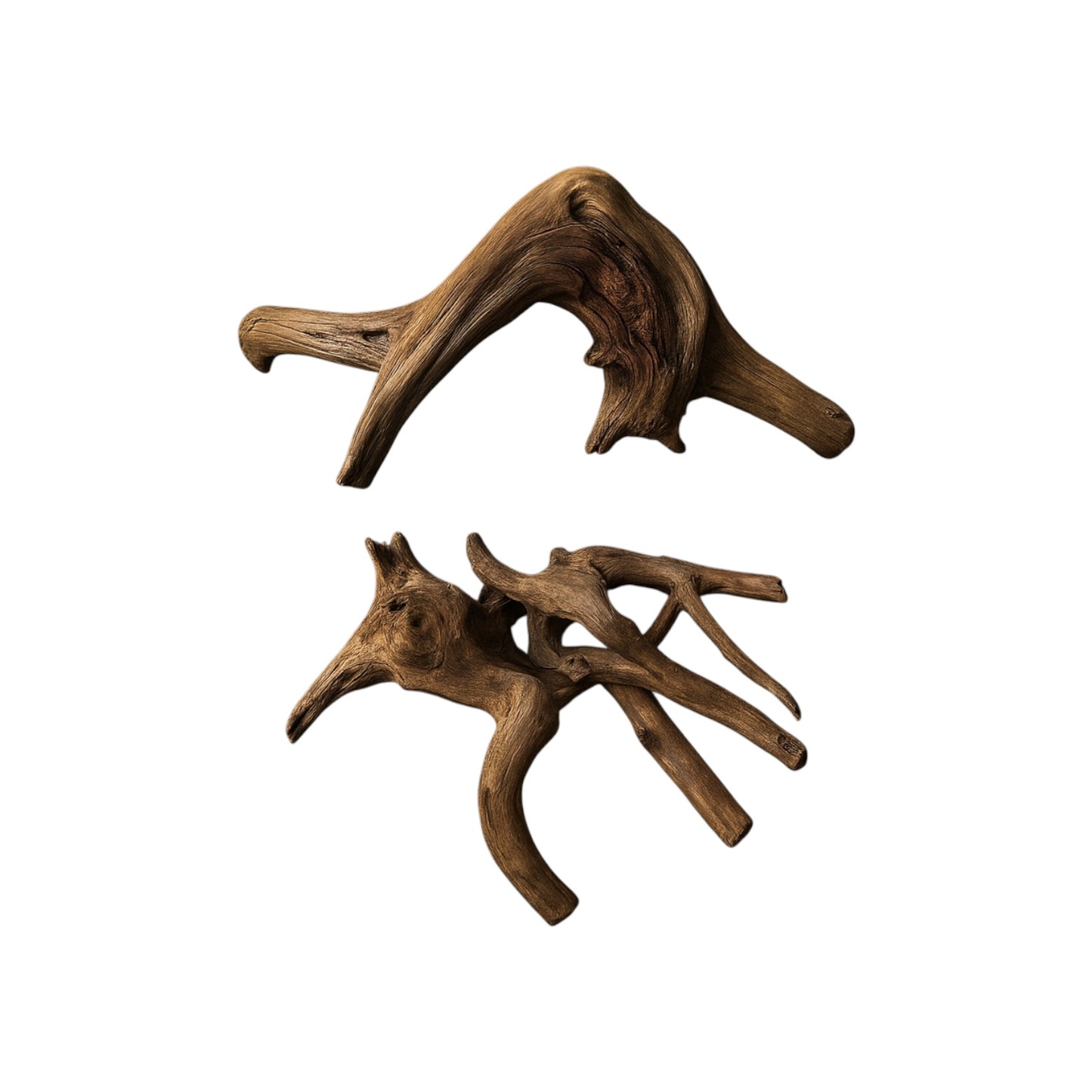 Two natural spiderwood driftwood pieces on a white background featuring intricate branching shapes, aquarium-safe hardscape wood for aquascaping, shrimp tanks, betta tanks, terrariums, and reptile enclosures.