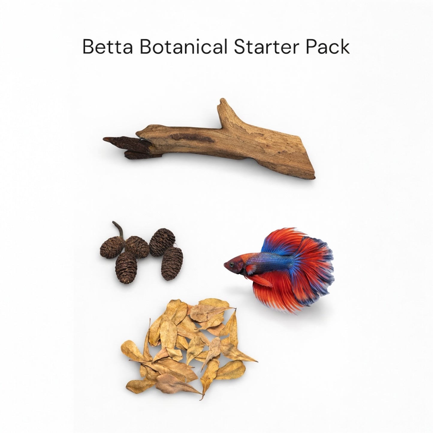 Betta Botanical Starter Pack featuring natural aquarium botanicals including driftwood, alder cones, and dried leaves displayed on a white background with a colorful betta fish, ideal for creating a natural blackwater betta habitat.