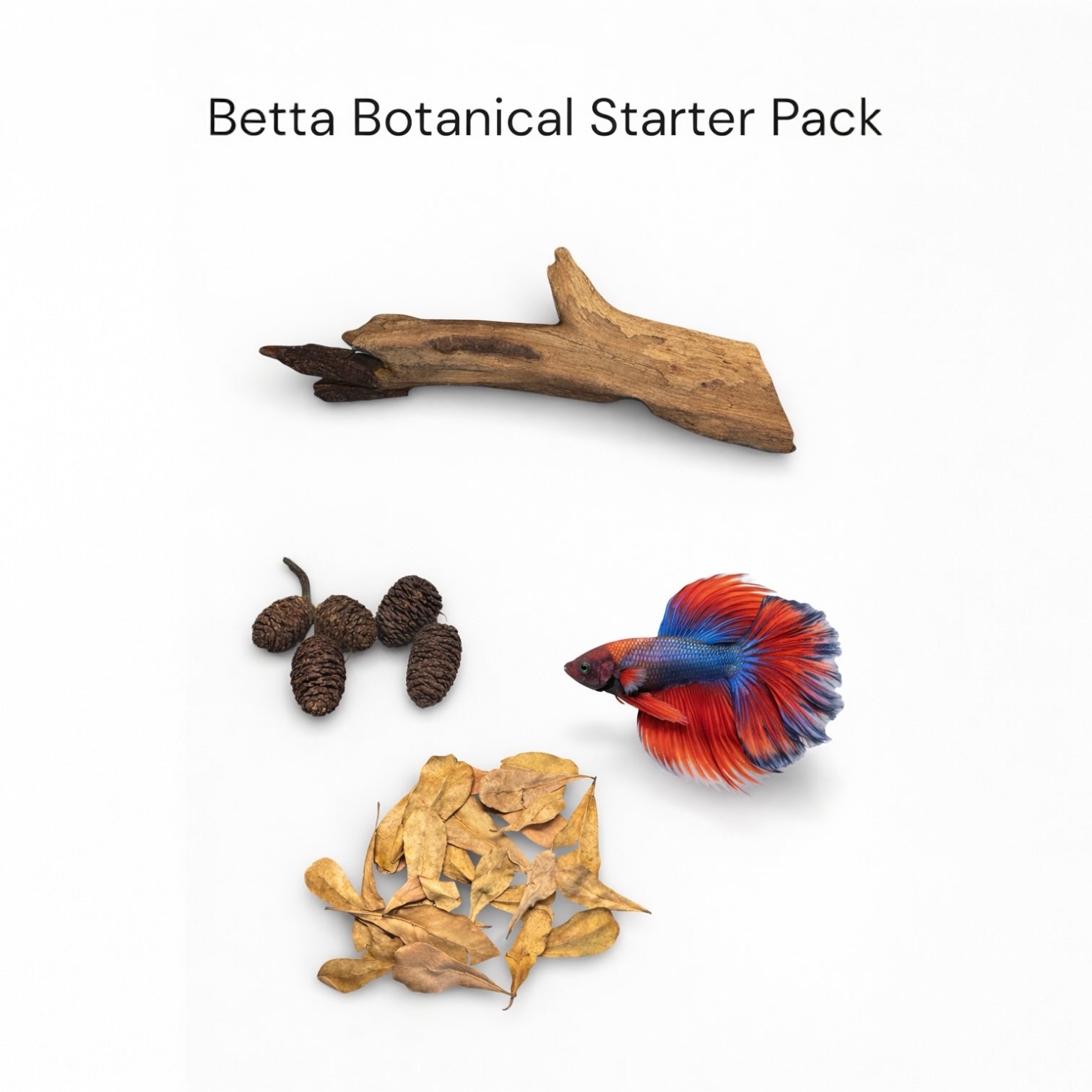 Betta Botanical Starter Pack featuring natural aquarium botanicals including driftwood, alder cones, and dried leaves displayed on a white background with a colorful betta fish, ideal for creating a natural blackwater betta habitat.