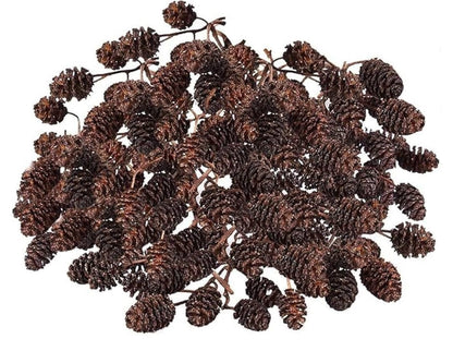 Alder Cones for Aquatic Shrimp & Blackwater