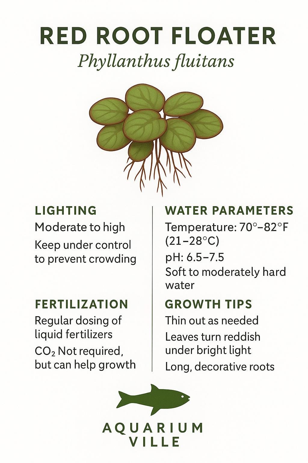 Frogbit Plants +Red Root Floater Plants Aquarium Floating Plants, Live Aquarium Plant