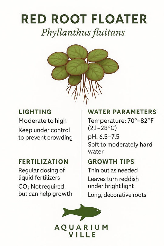red root floater are guide