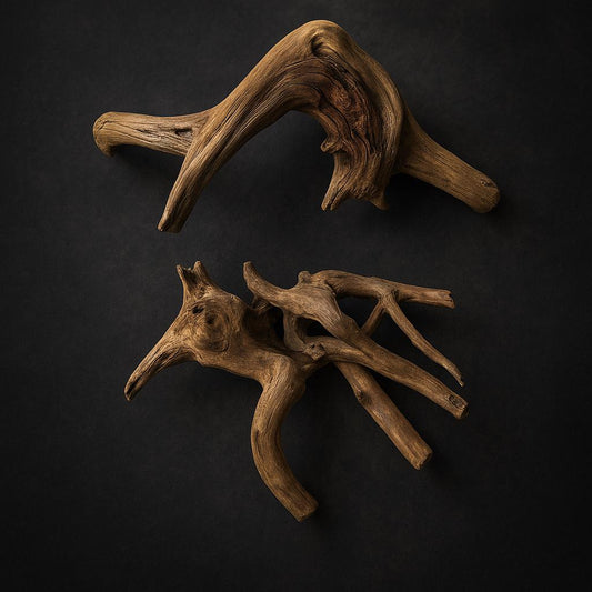 2 pieces of spider wood on black background