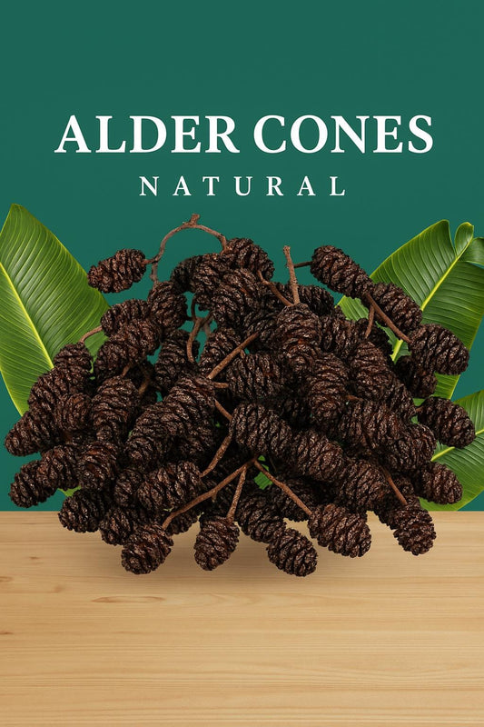 aquatic alder cones for Neocaradina shrimp food, betta tanks, tetras, axolotls,and aquariums and terrariums.