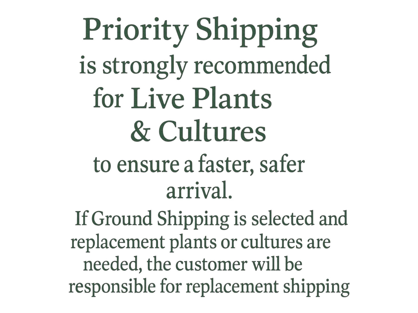 shipping and replacement policies