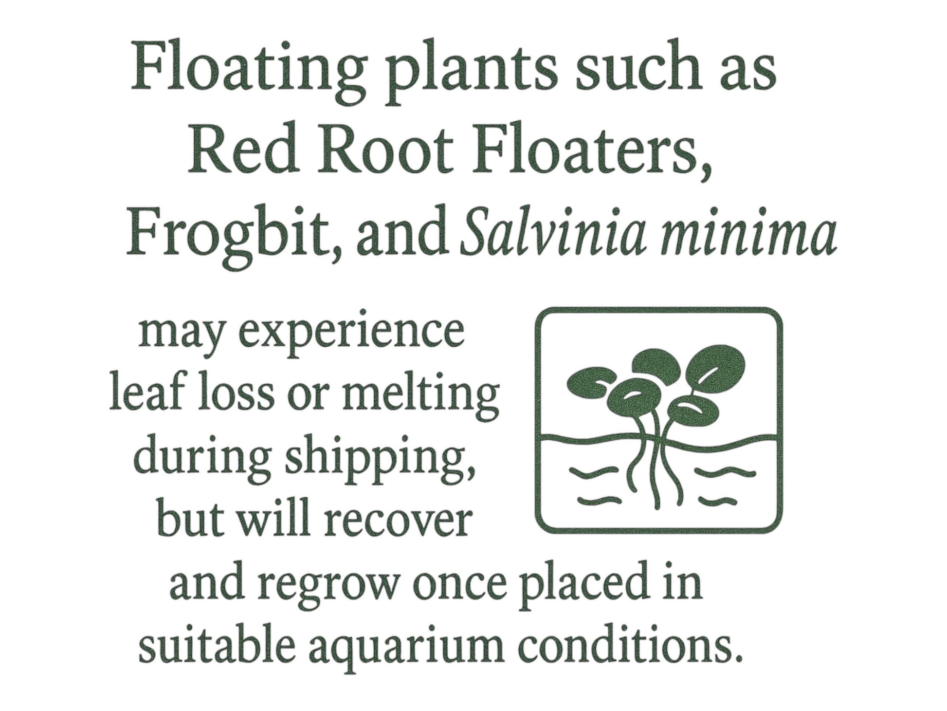 floating plant melting message