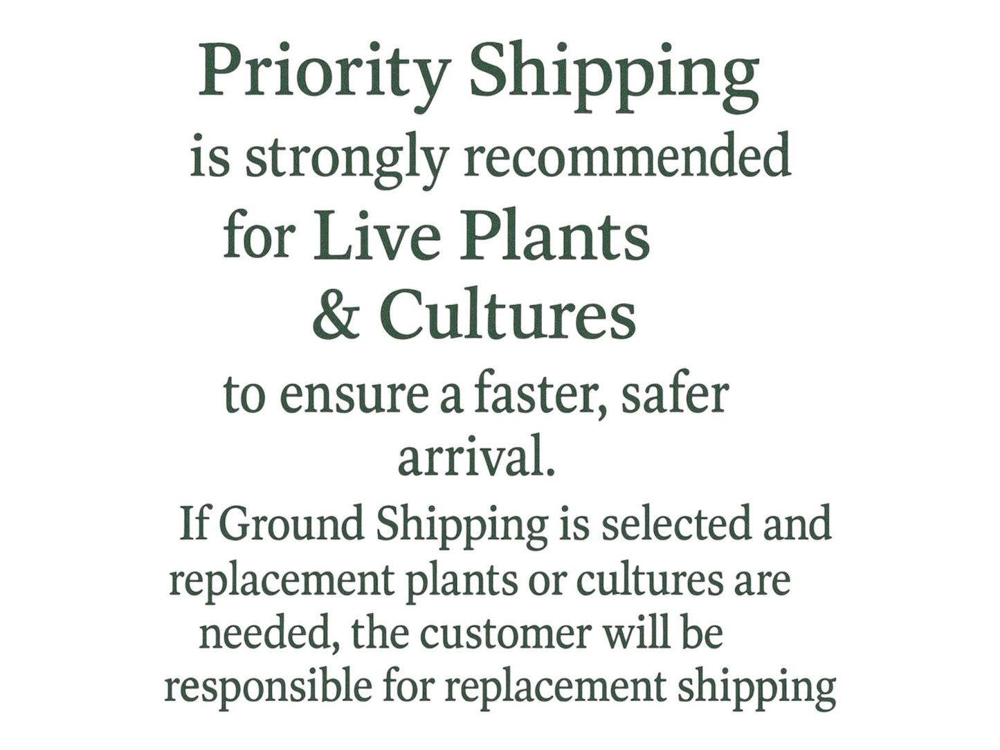 Frogbit Aquarium Floating Plants, Live Aquarium Plant