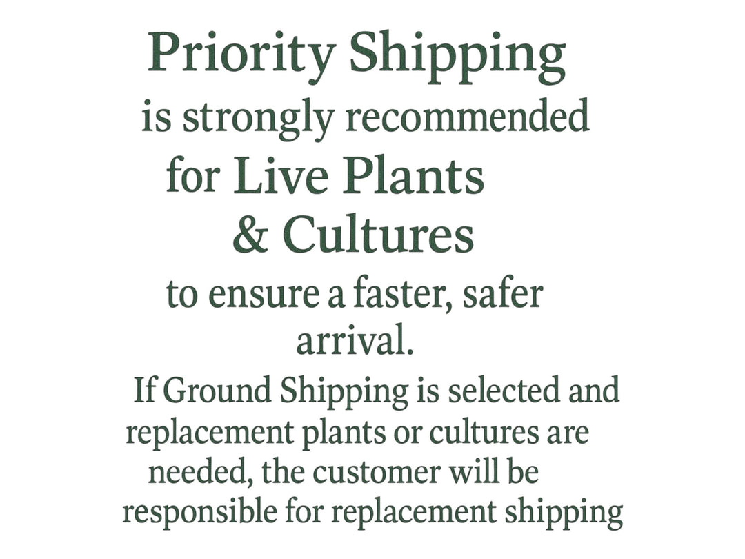 Floating Plant Mix – Red Root Floater, Salvinia and Duckweed | Live Aquarium &amp; Pond Plants for Bettas and Beginners