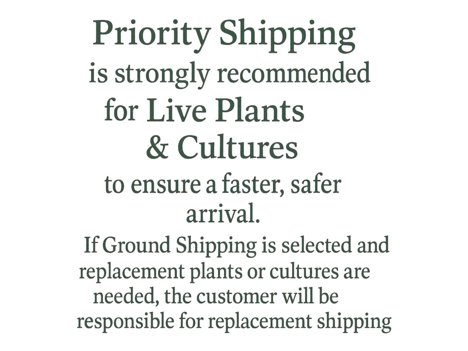 Floating Aquarium Plants Mix – 8 oz Deli Cup of Red Root, Water Lettuce and Duckweed for Freshwater Tanks. Easy, Beginner Plants