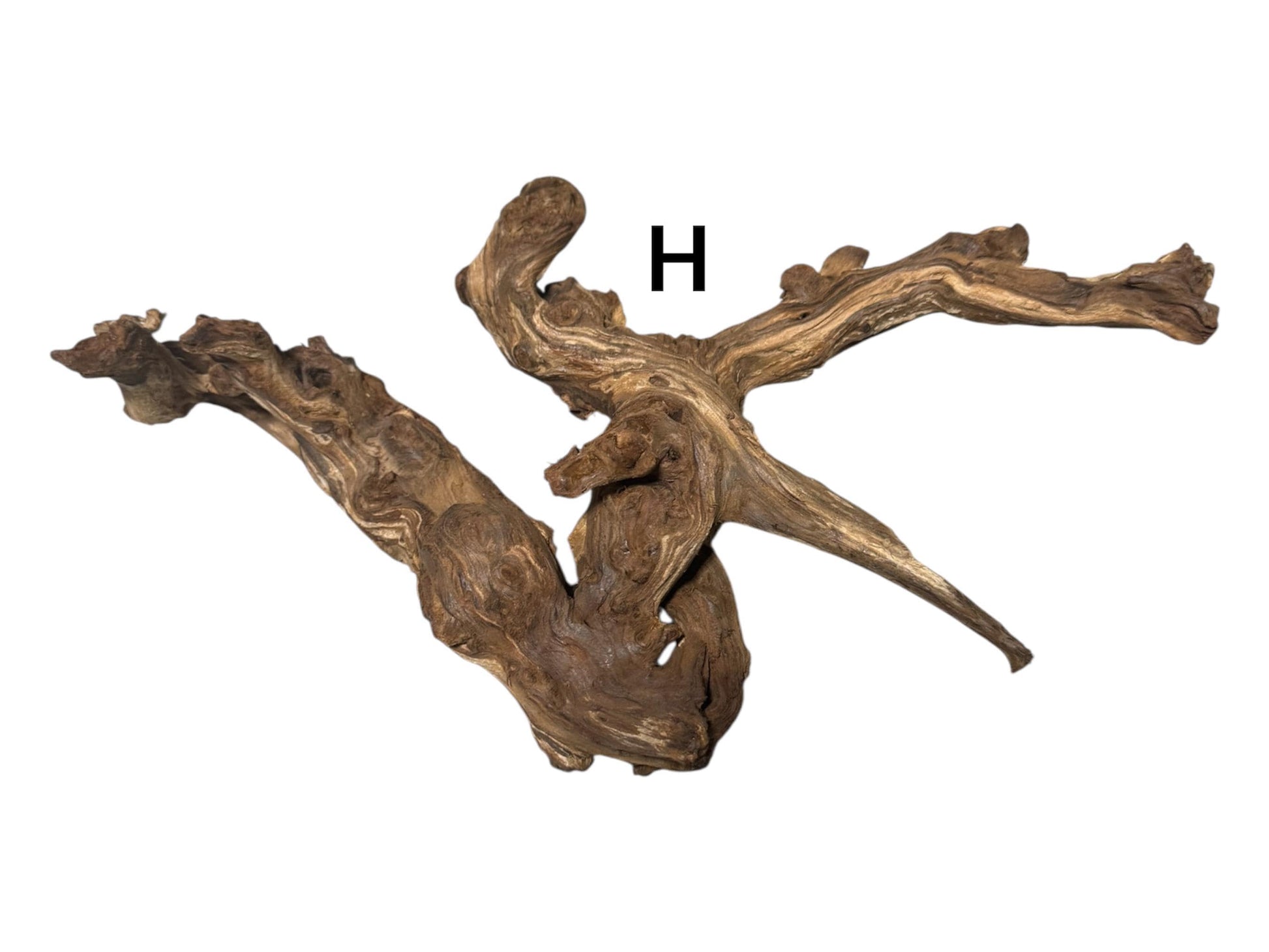 Mopani Driftwood 6–7” – Aquarium Wood Decor for Fish, Shrimp, and Reptiles