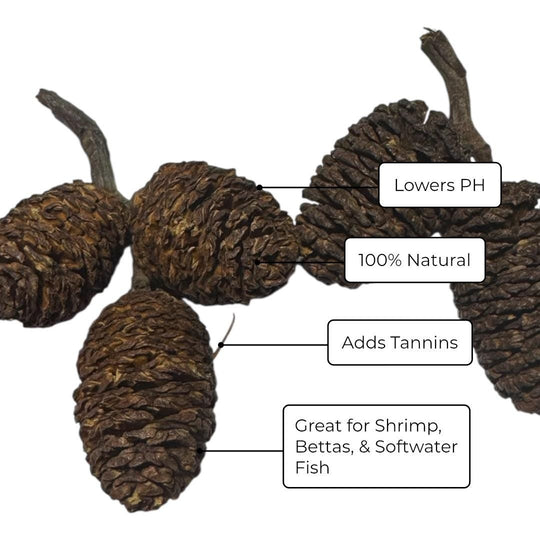 Aquarium Tannin Pack for Betta w/ Driftwood and Free Floating Feeding Ring