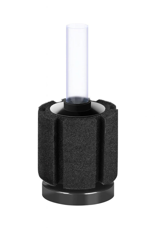 Single cylindrical aquarium sponge filter with a black foam body, round black plastic base, and clear plastic uplift tube, isolated on a white background.