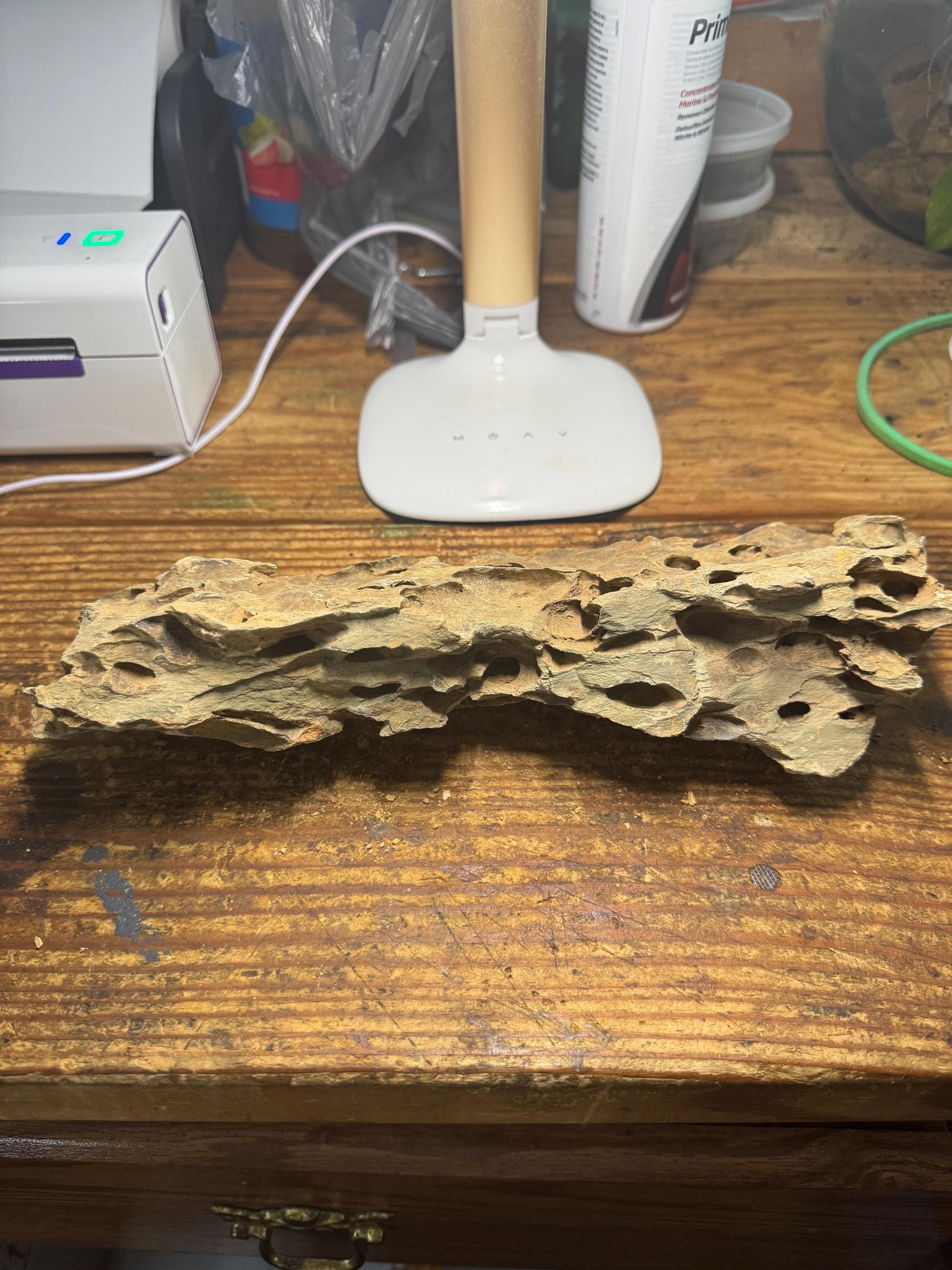 12 inch Dragon Stone (Ohko Stone) – Natural Aquarium Rock for Aquascaping 3.32 Pounds