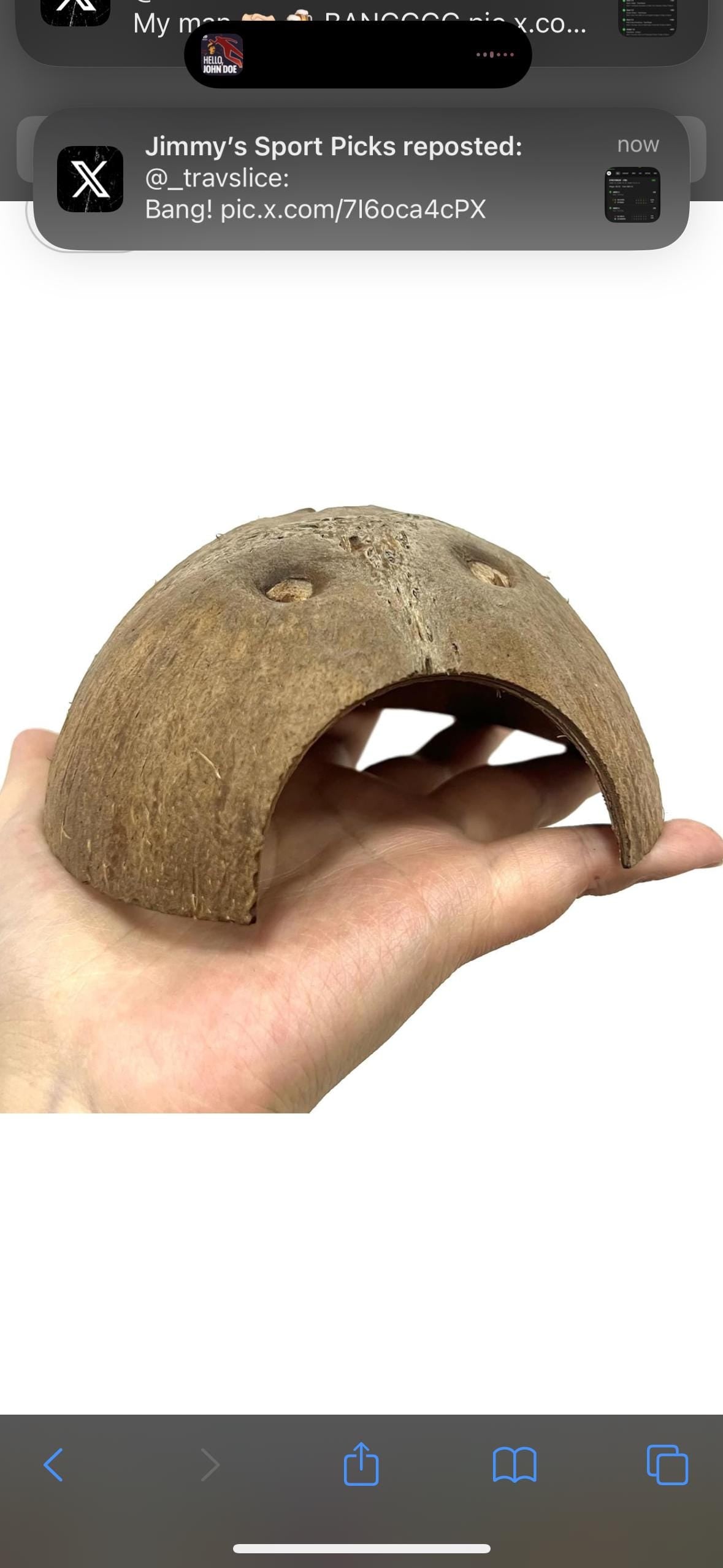 Coconut Aquarium Cave – Betta Fish Cave, Shrimp Hide, Reptile Shelter