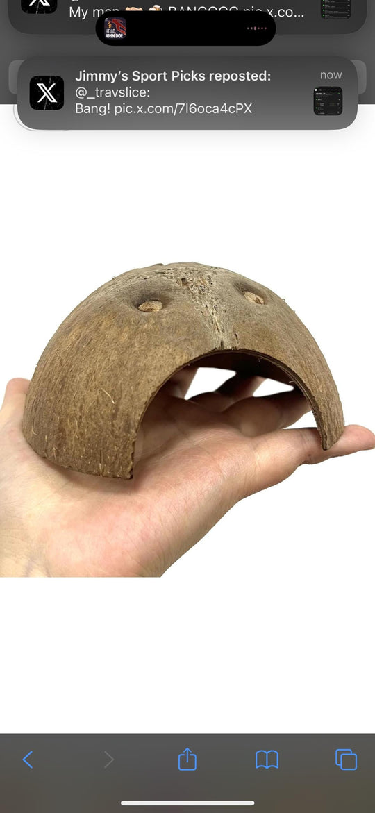 Coconut Aquarium Cave – Betta Fish Cave, Shrimp Hide, Reptile Shelter