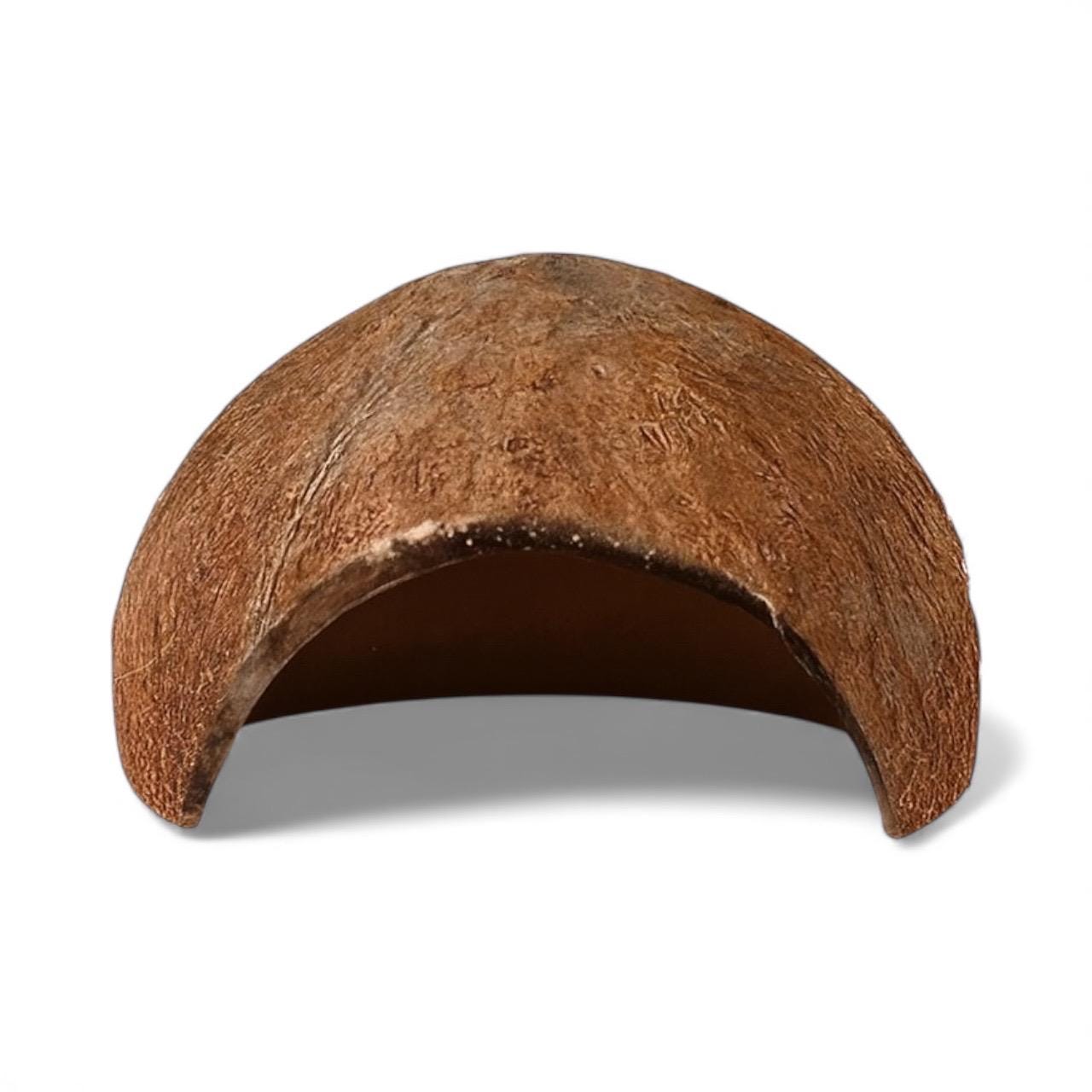 Single coconut shell cave for aquariums, centered on a white background, with a natural brown textured exterior and hollow arch entrance.