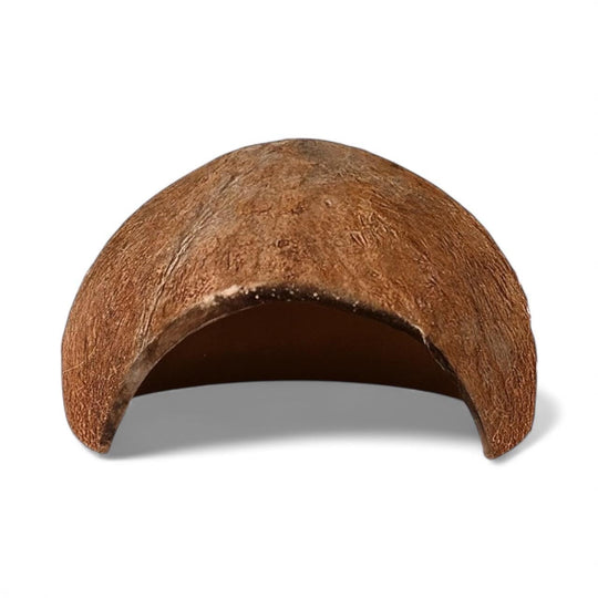 Single coconut shell cave for aquariums, centered on a white background, with a natural brown textured exterior and hollow arch entrance.