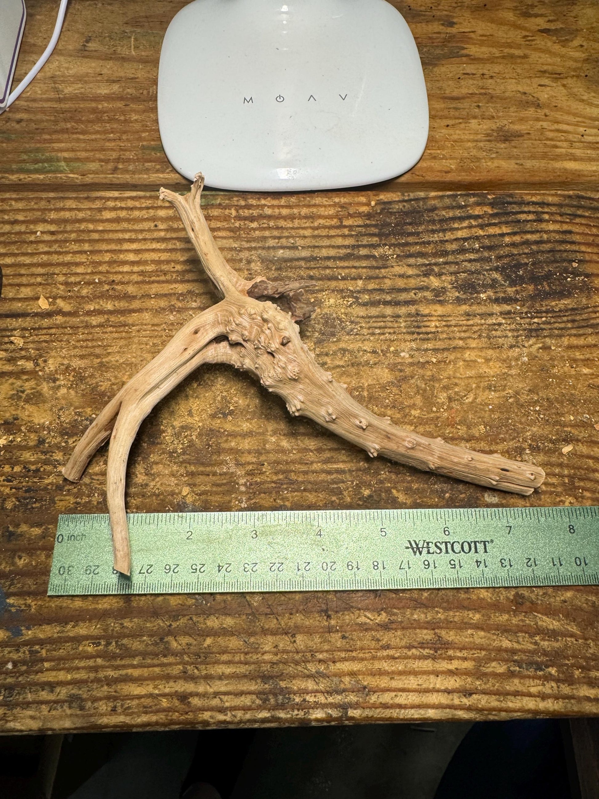 Dragon Stone Spiderwood Combo– Natural Aquarium Rock for Aquascaping