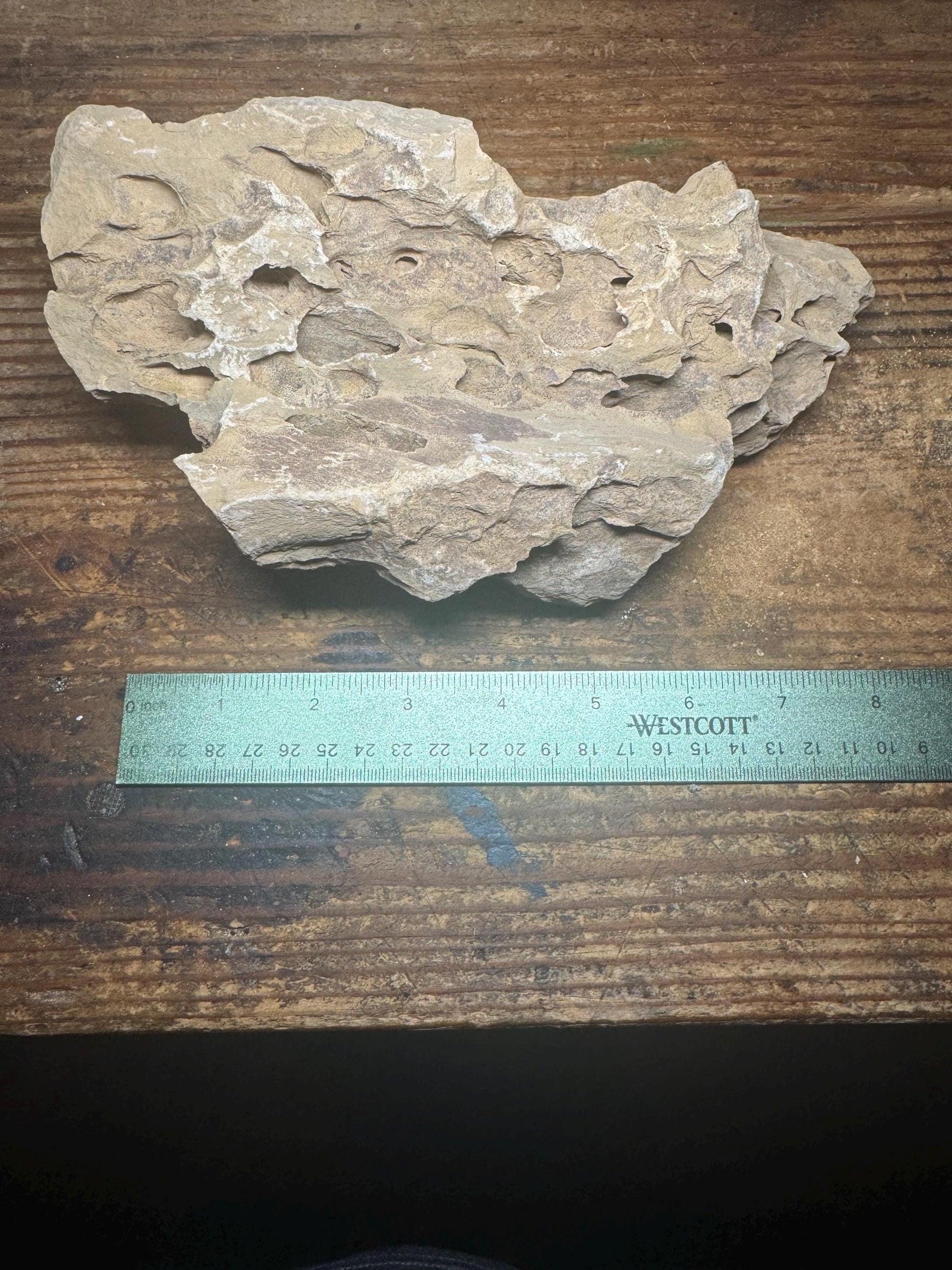 Dragon Stone (Ohko Stone) – Natural Aquarium Rock for Aquascaping 1.44 Pounds