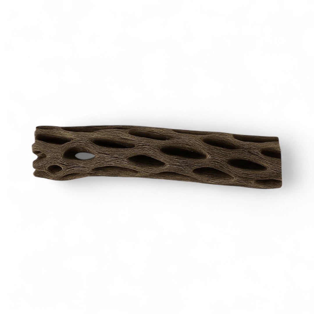 Close-up of a dried cholla wood piece with natural oval holes and a textured brown surface, commonly used as aquarium decor, shrimp or isopod hide, and natural hardscape element.