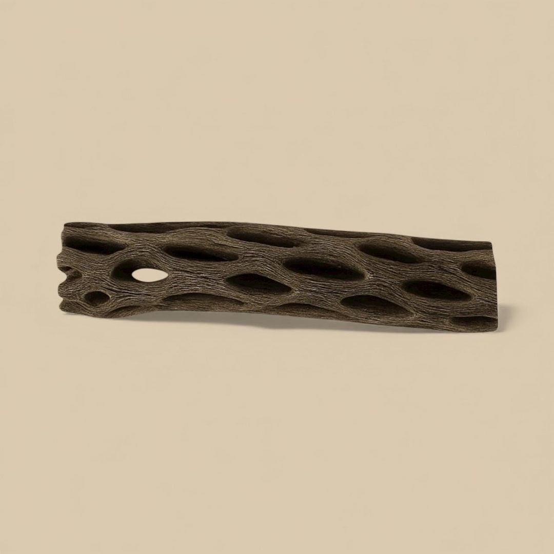 Single piece of Cholla wood displayed on a beige background, showing its natural hollow structure with textured holes — a popular aquarium and shrimp tank decoration that provides hiding spots and surfaces for biofilm growth.