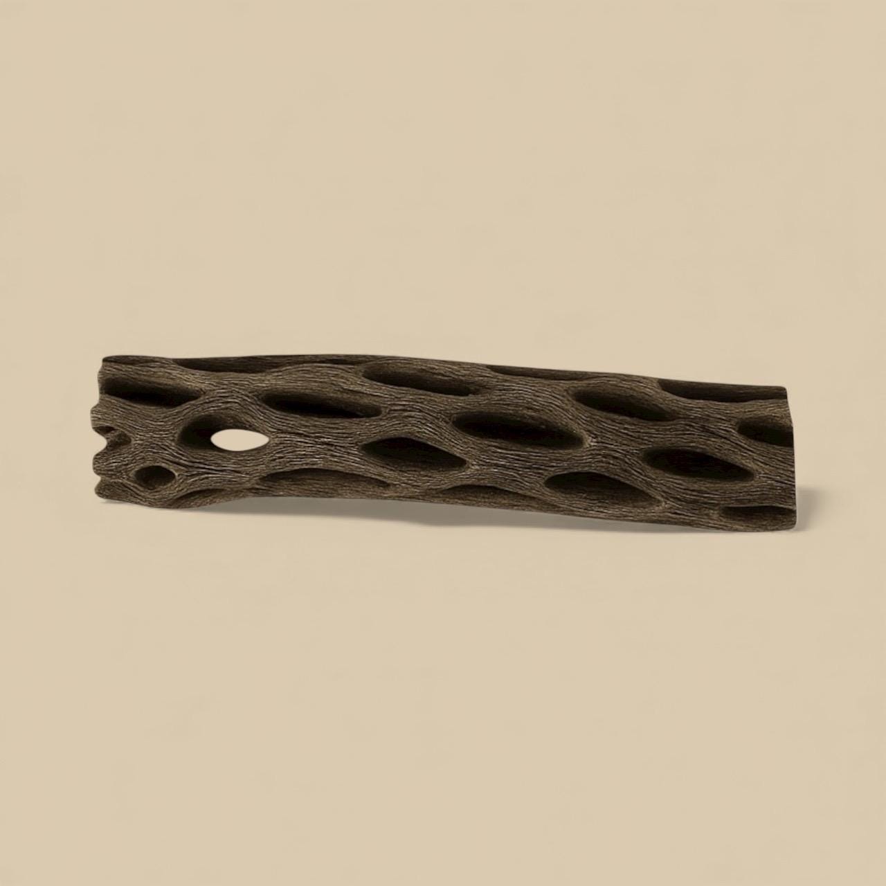 Single piece of Cholla wood displayed on a beige background, showing its natural hollow structure with textured holes — a popular aquarium and shrimp tank decoration that provides hiding spots and surfaces for biofilm growth.