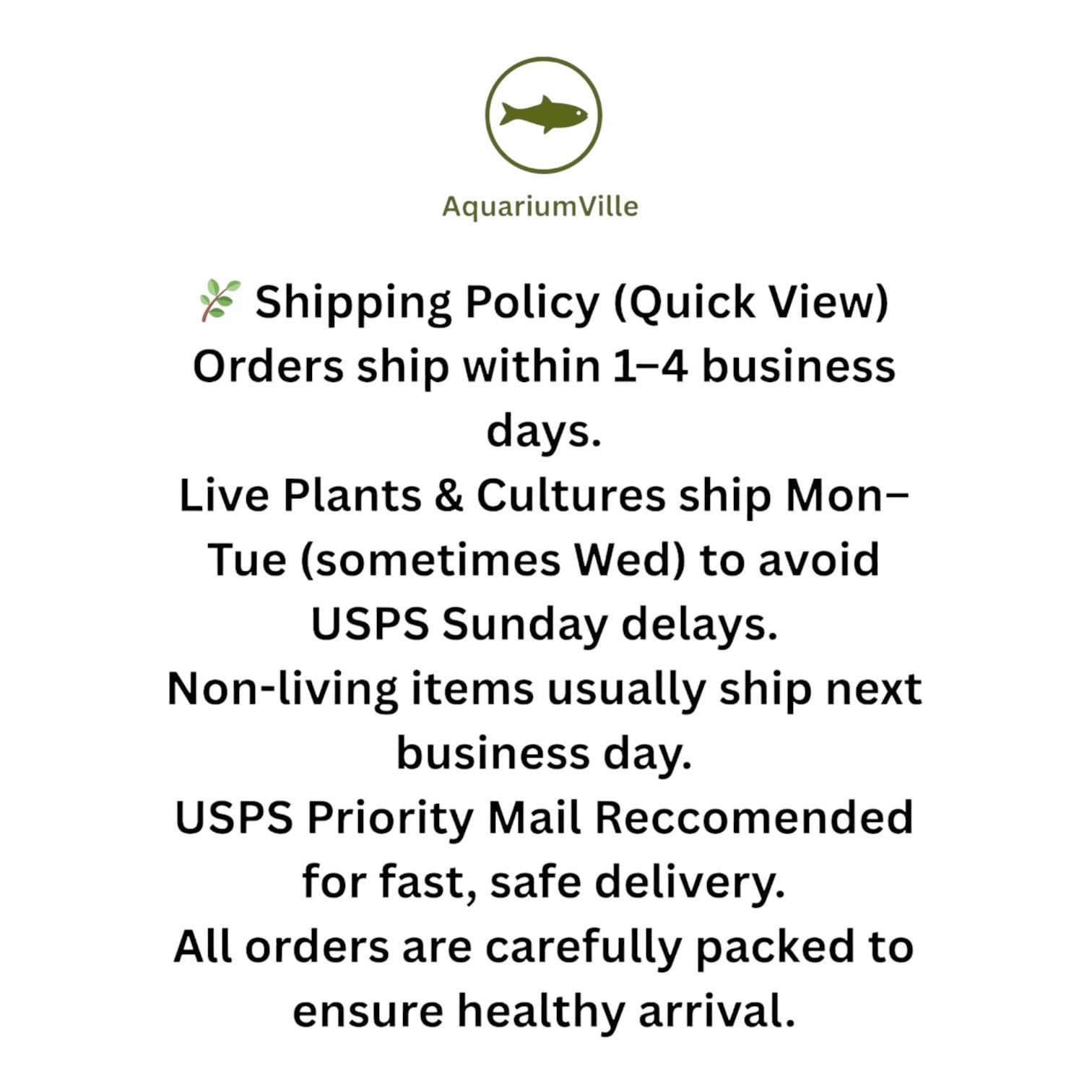 Aquarium Floating Plant Mix — 10 Pack