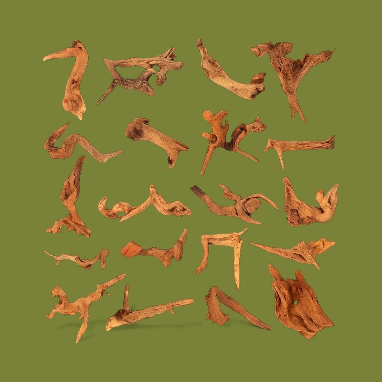 Assorted pieces of natural coral driftwood measuring 4–7 inches, arranged on a forest green matte background, showing unique shapes, textures, and warm brown tones.