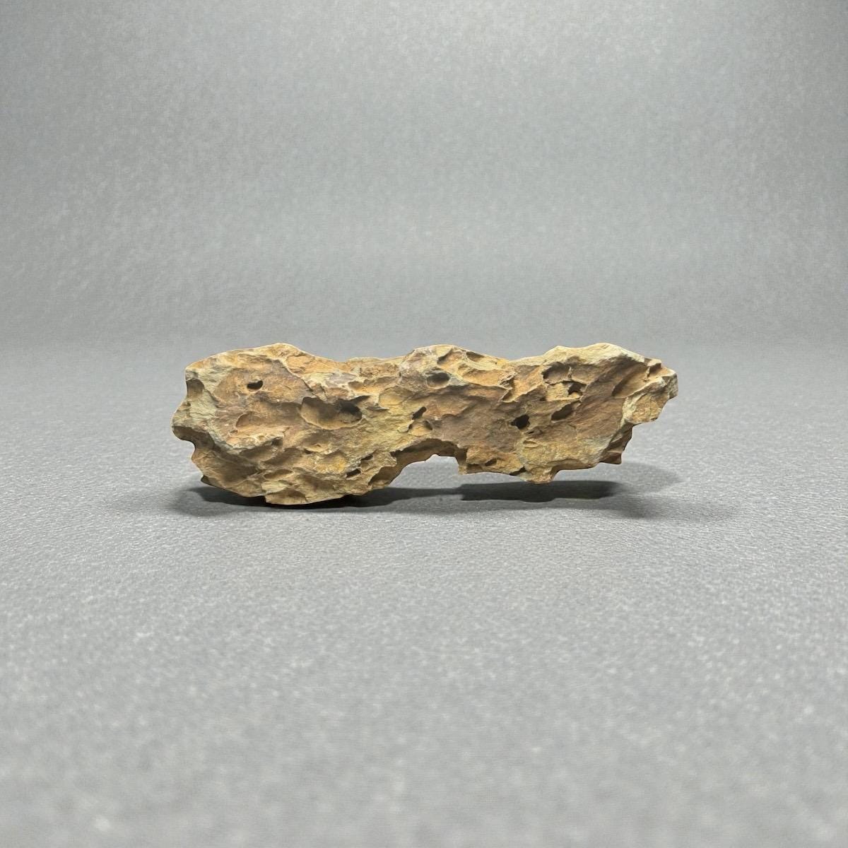 Dragon stone (ohko stone) with rugged, porous, warm tan texture, displayed on a smooth gray background for aquarium aquascaping.