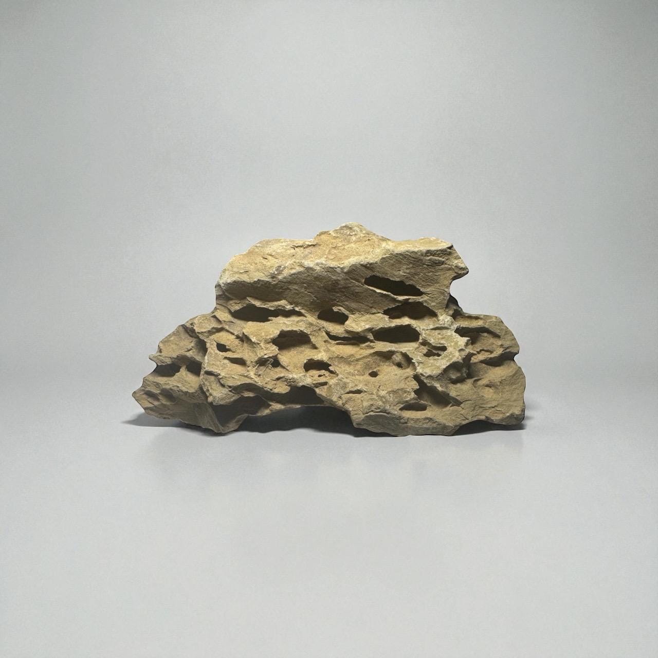 Dragon stone (ohko stone) with porous, carved texture and warm beige coloration, displayed on a smooth light gray background for aquarium aquascaping.
