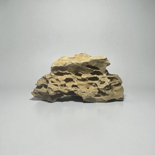 Dragon stone (ohko stone) with porous, carved texture and warm beige coloration, displayed on a smooth light gray background for aquarium aquascaping.