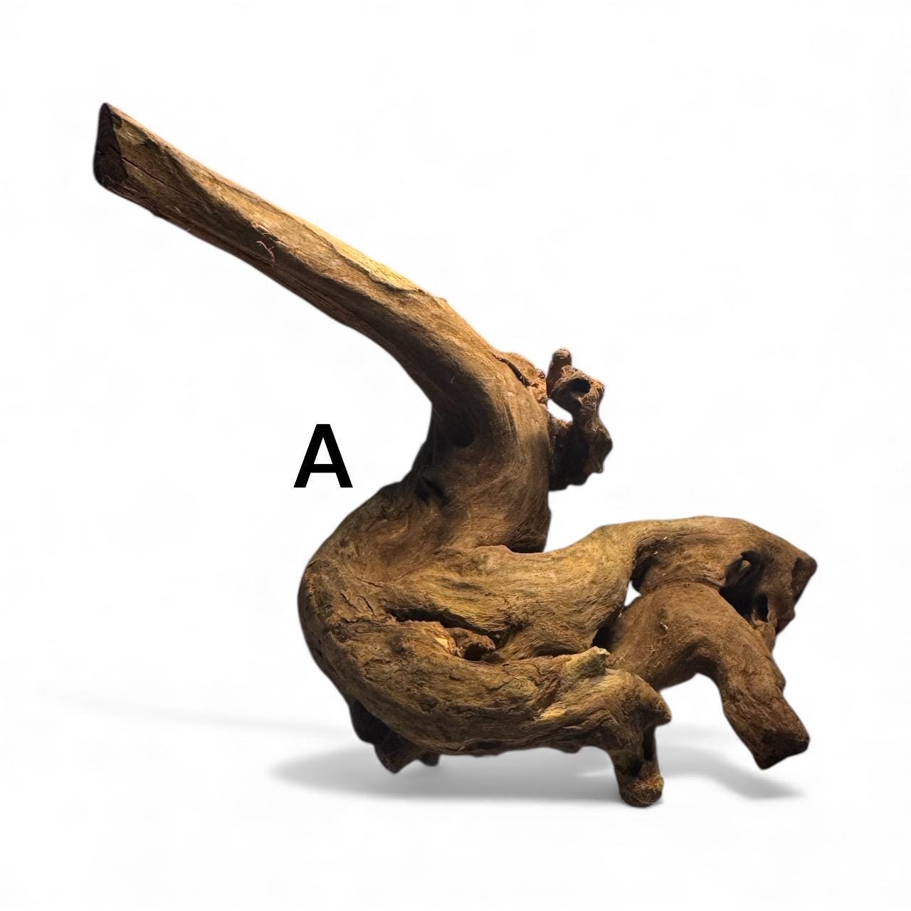 “Coral driftwood piece labeled A against a white background, featuring twisted natural branches and a curved, sculptural shape. Ideal for aquascaping, shrimp tanks, betta tanks, and planted aquarium hardscape layouts.”