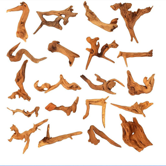 Assorted pieces of natural coral driftwood measuring 4 to 7 inches, showcasing unique twisted shapes and rich brown textures on a clean white background.