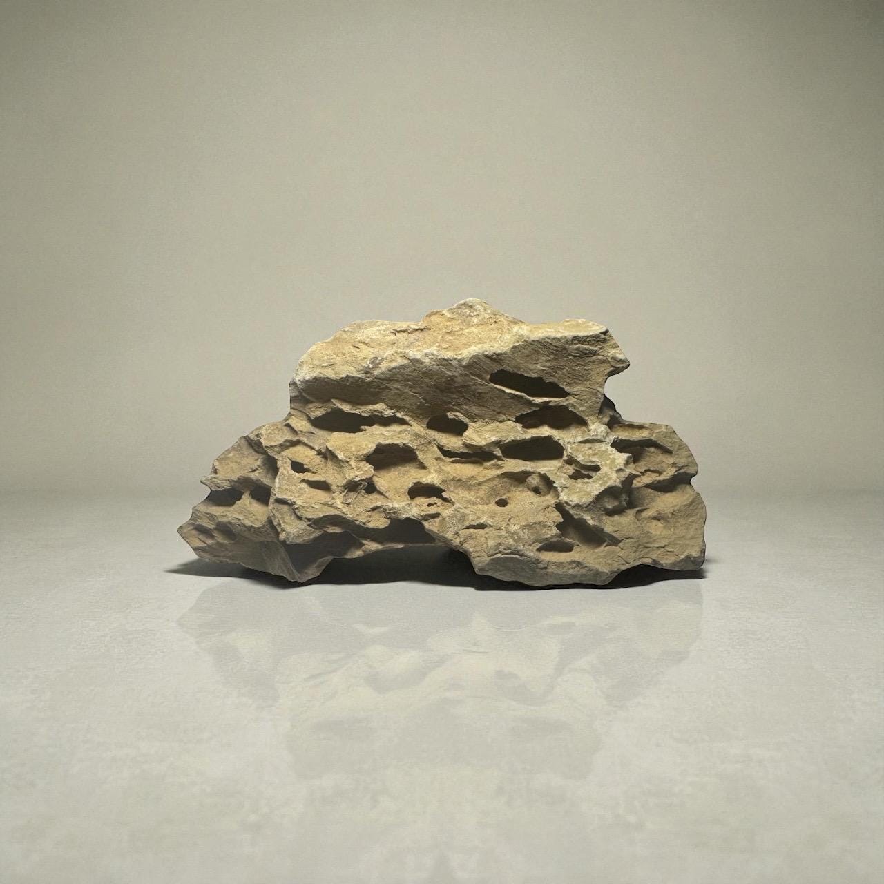 Dragon stone (ohko stone) with porous, textured surface and warm beige coloration, displayed on a reflective light gray surface with a neutral background for aquarium aquascaping.