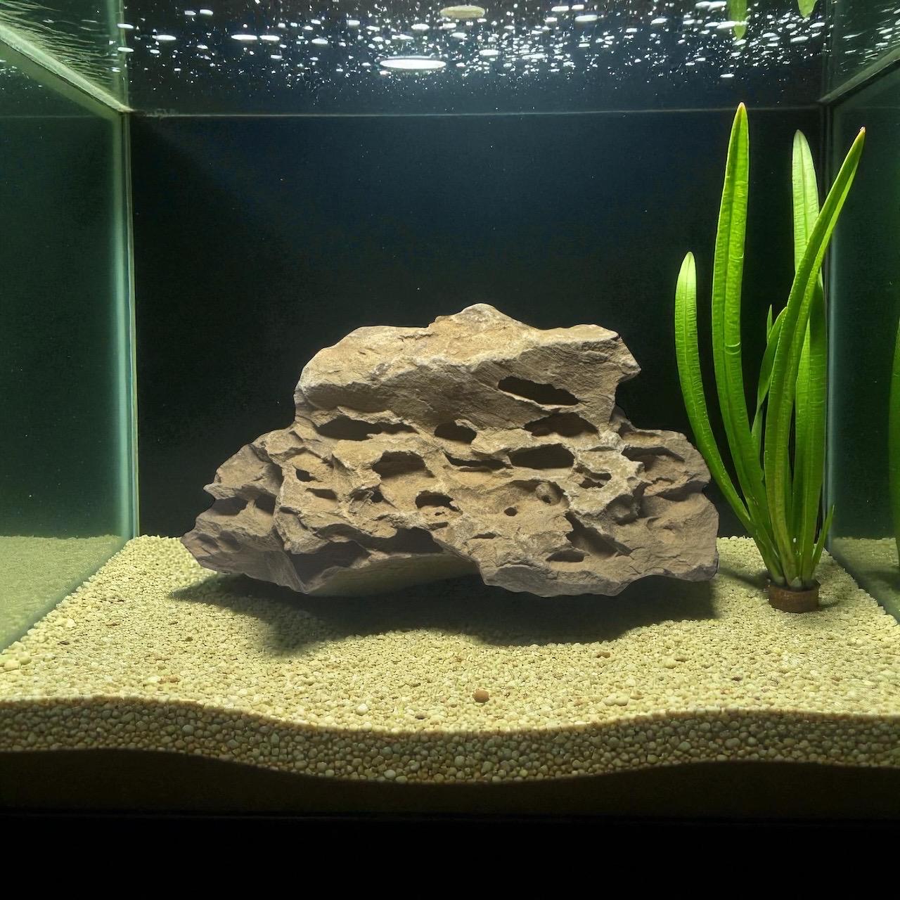 Dragon stone (ohko stone) placed in an aquarium on light-colored gravel substrate, with tall green aquatic plants on the right and clear water above.